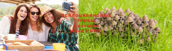 винт Богданович